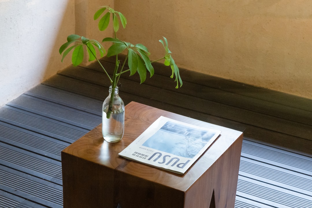 Planta E Jornal Ficam Em Uma Mesa De Madeira 7Rb_H4Tx Qk