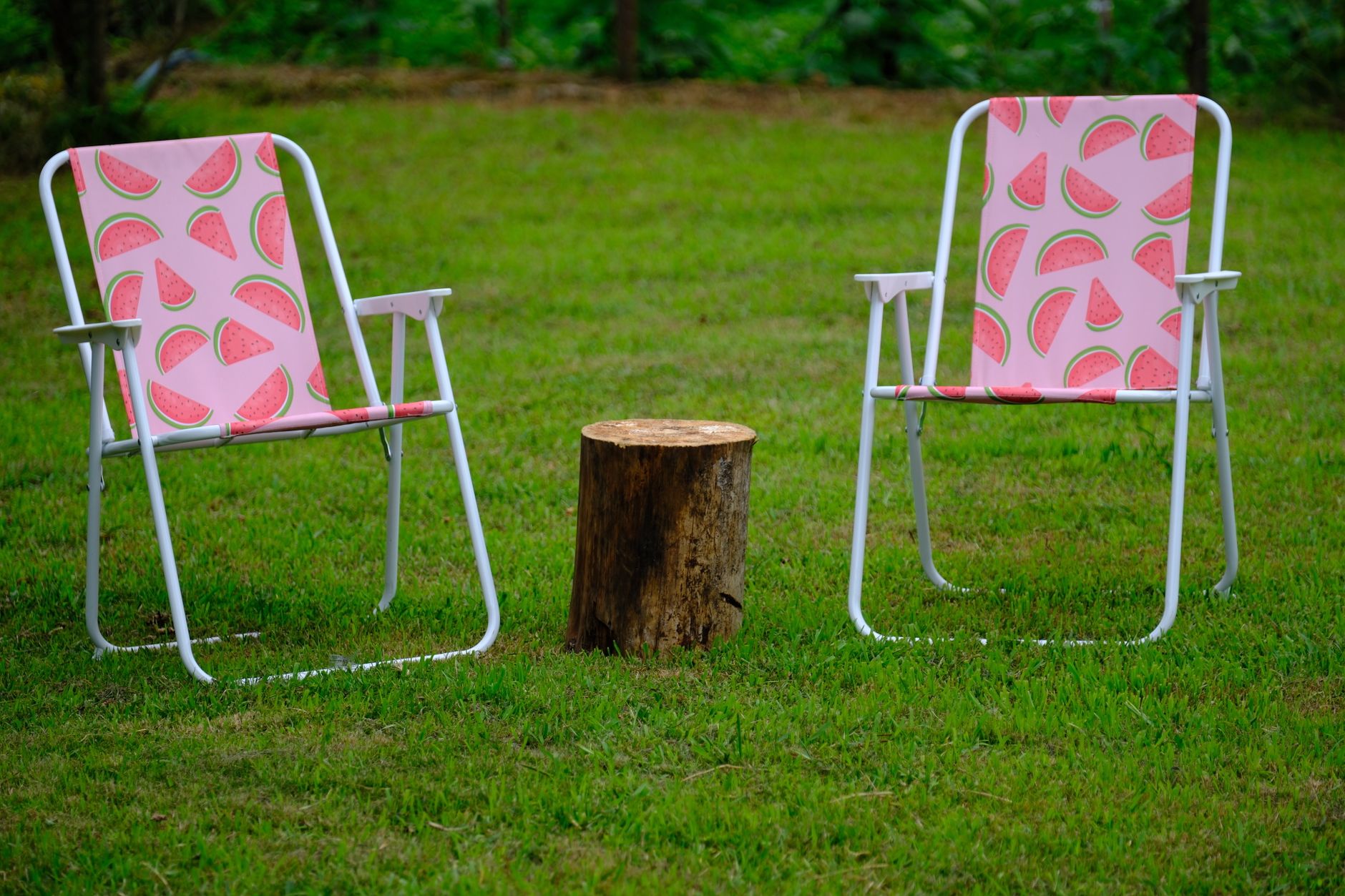 Two pink watermelon-patterned lawn chairs with a wooden stump on green grass.