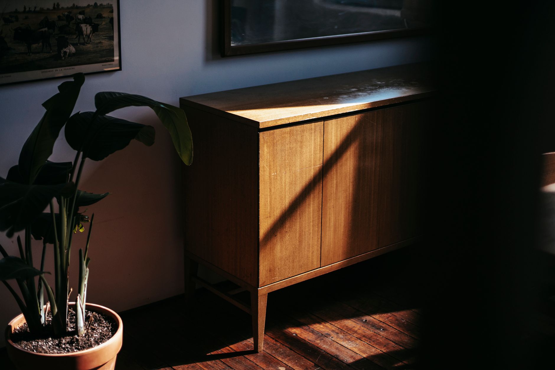 Old fashioned cupboard placed on lumber floor near flowerpot at wall with framed pictures in vintage room under bright sunlight